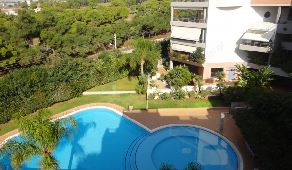 ?????? - ??? . Swimming pool - view